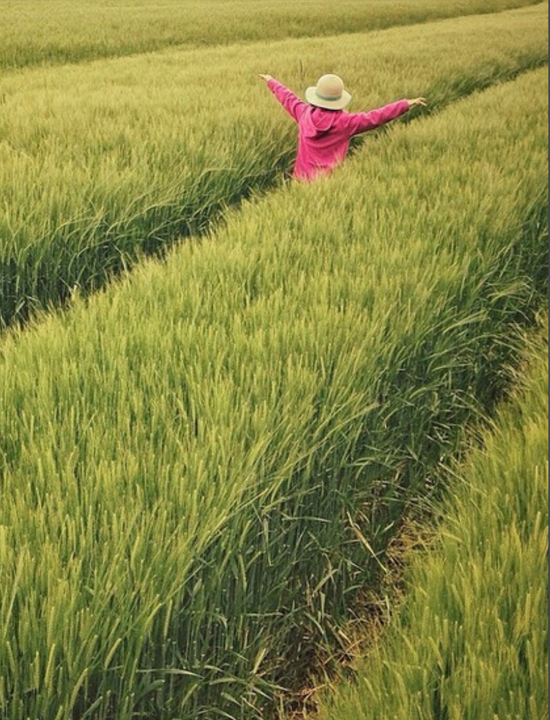 โครงการอุตสาหกรรมการผลิตยา ม.แม่ฟ้าหลวง_1