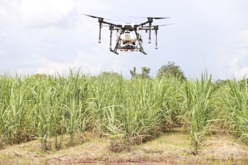 Smart Farmer! PMUC and DIPROM join effort in recruiting Thai research teams to help solve problems for sugar cane farmers using “precision agriculture” technologies.