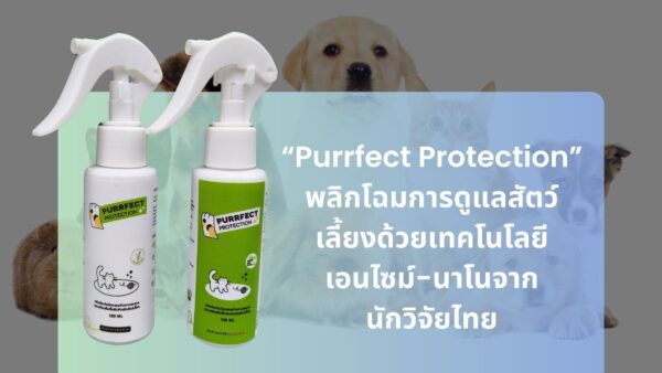 “Purrfect Protection” พลิกโฉมการดูแลสัตว์เลี้ยงด้วยเทคโนโลยีเอนไซม์-นาโนจากนักวิจัยไทย